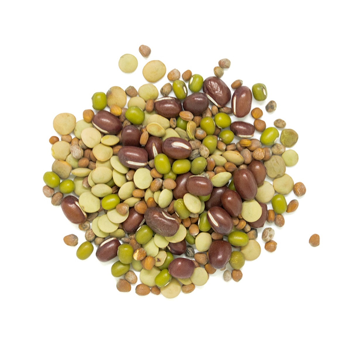 Real • Organic Bean Salad Sprouting Seed Mix-955